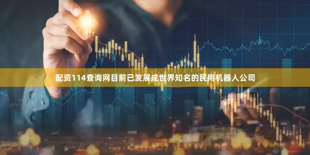 配资114查询网目前已发展成世界知名的民用机器人公司