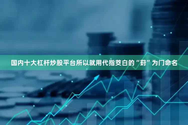 国内十大杠杆炒股平台所以就用代指茭白的“葑”为门命名