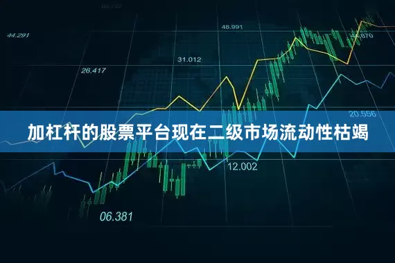 加杠杆的股票平台现在二级市场流动性枯竭